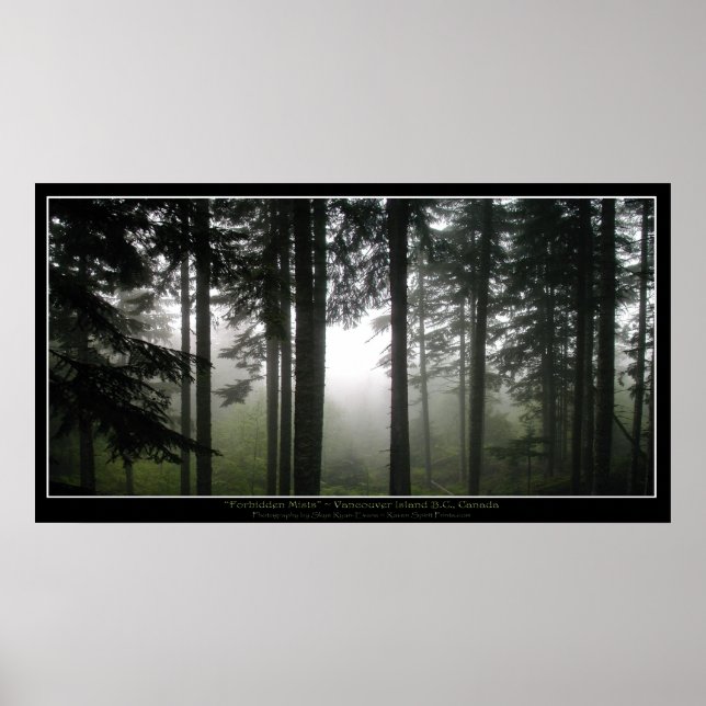 "FORBIDDEN MISTS" Green Misty Forest Photo Poster (Front)