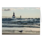 Force Behind Beauty (Front Horizontal)