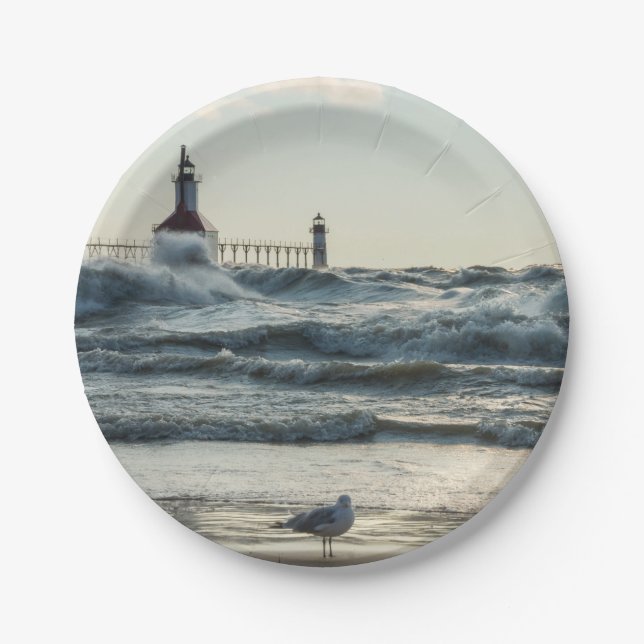 Force Behind Beauty Paper Plates (Front)