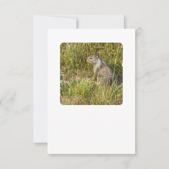 force replace with mask invitation (Front)