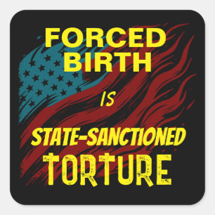 Forced Birth Is State-Sanctioned Torture Square Sticker