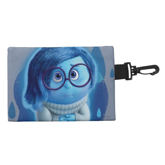 Forecast is for Blue Skies Accessory Bag (Back)