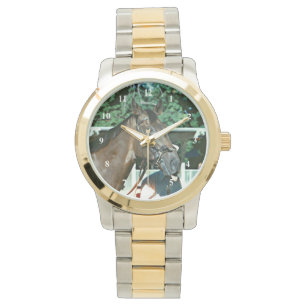 Forego Racehorse 1977 Watch