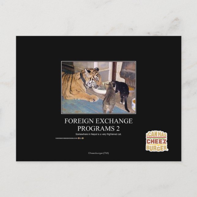 Foreign Exchange Programs 2 (Front)