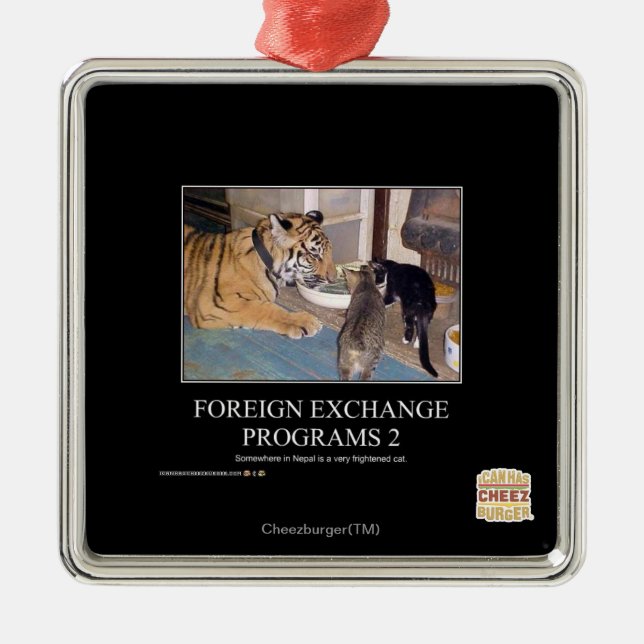 Foreign Exchange Programs 2 Metal Ornament (Front)
