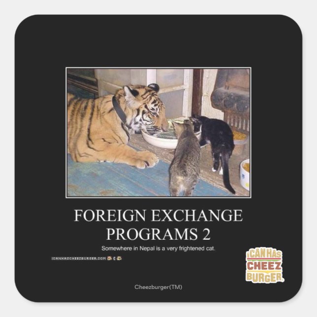Foreign Exchange Programs 2 Square Sticker (Front)