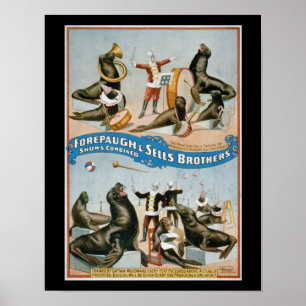 Forepaugh and Sells - vintage circus sealions Poster