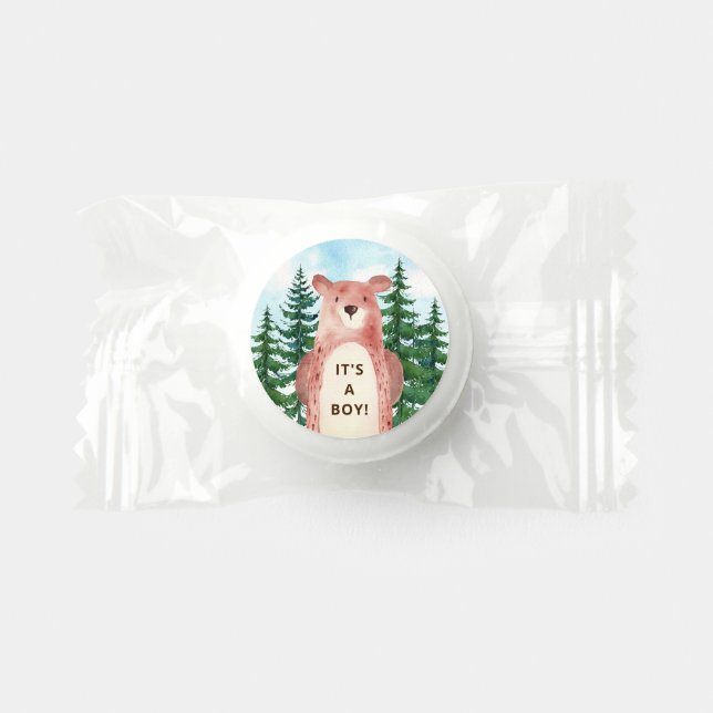 Forest Adventure Bear Boys Baby Shower Life Saver® Mints (Front)