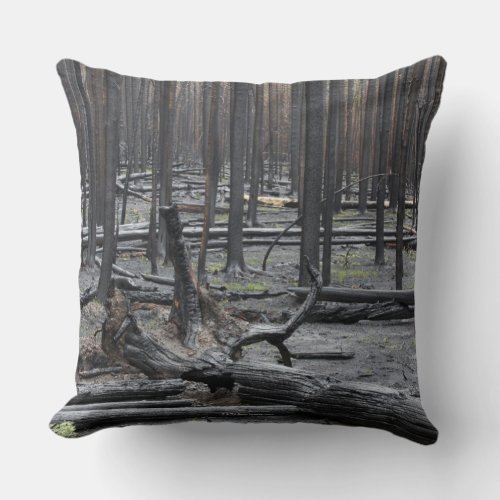 Forest after fire in Yellowstone National Park Throw Pillow