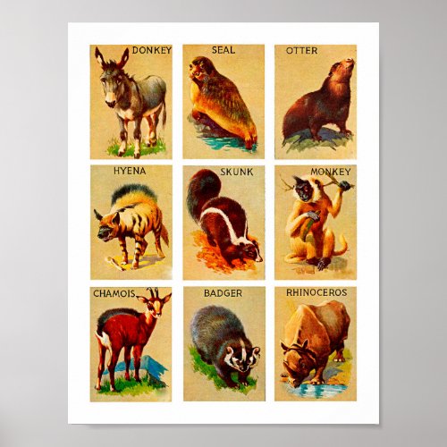 Forest and jungle Animals Nature Wildlife Art Poster