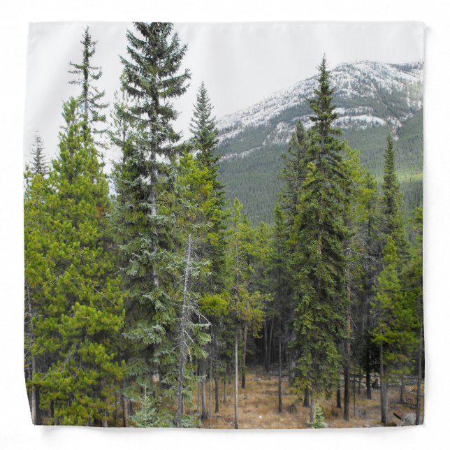 Forest and Mountain Scene Bandana (Front)
