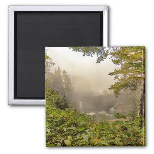 Forest and Ocean Landscape Magnet