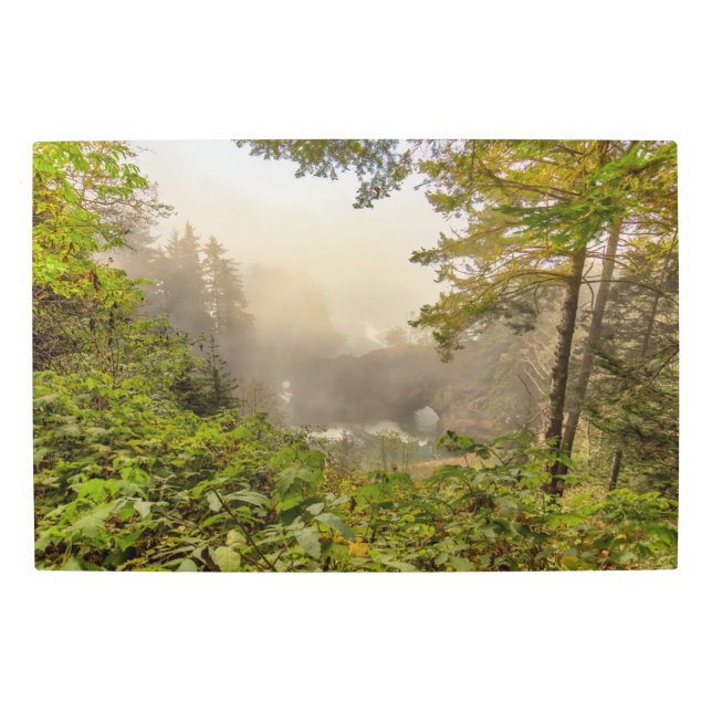 Forest and Ocean Landscape Metal Print (Front)