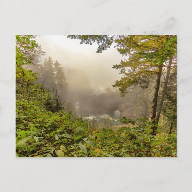 Forest and Ocean Landscape Postcard (Front)