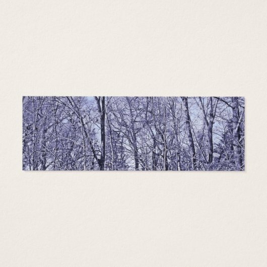 Forest At Twilight (Back)
