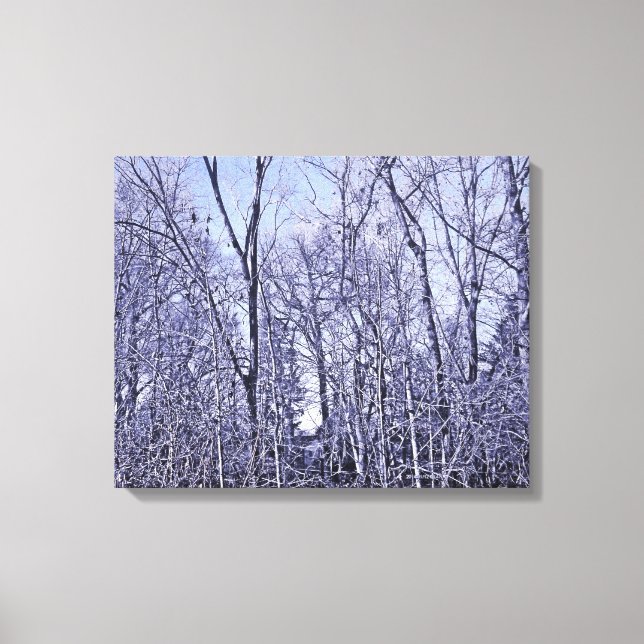 Forest At Twilight Canvas Print (Front)