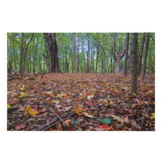 Forest Autumn Colors Faux Canvas Print