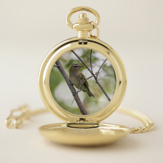 Forest Bird, Slender Beak and Olive Plumage Pocket Watch