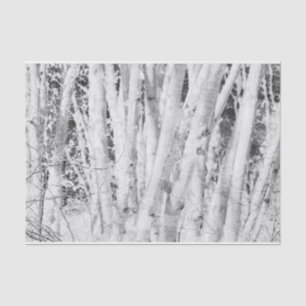 Forest Black And White Birch Trees Tissue Paper