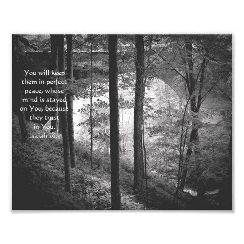 Forest Bridge Isaiah 263 Photo BW Print