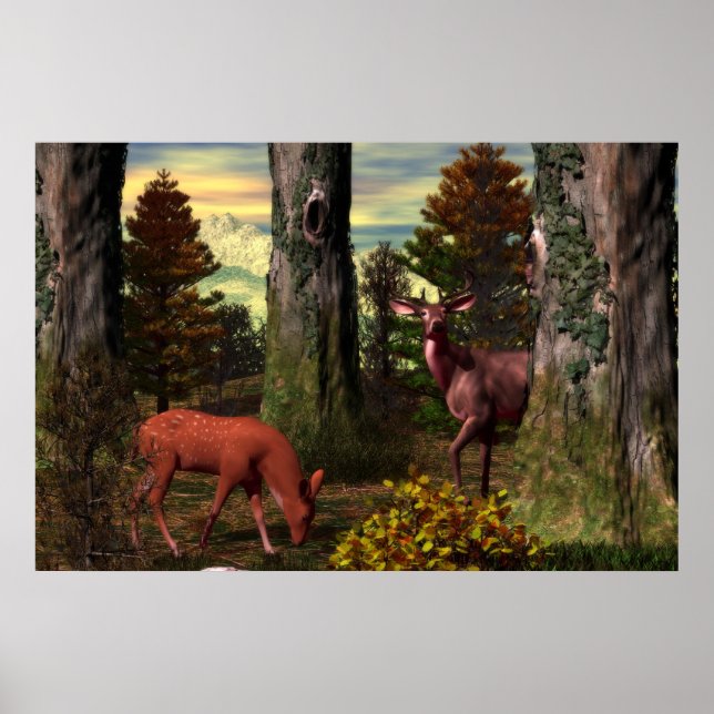 Forest Calm Poster (Front)