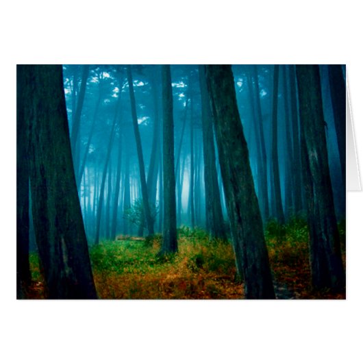 Forest Cards (Front Horizontal)