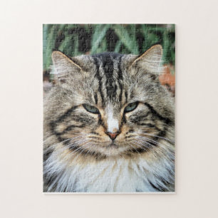 Forest Cat Challenging Photo Jigsaw Puzzle