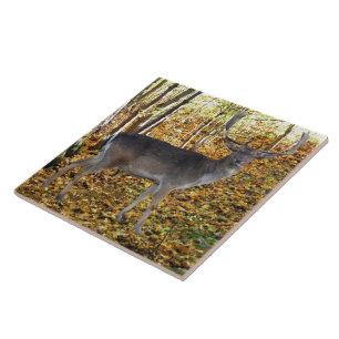forest ceramic tile