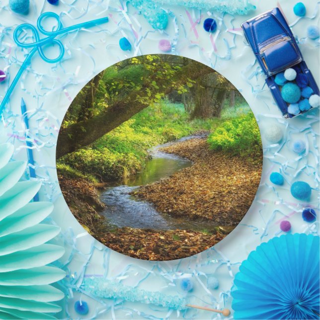 Forest Creek Beautiful Nature Landscape Photo Paper Plates (Party)
