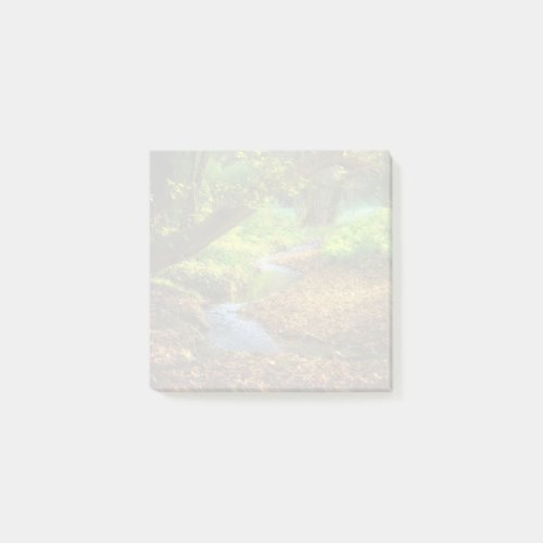 Forest Creek Beautiful Nature Landscape Photo Post_it Notes