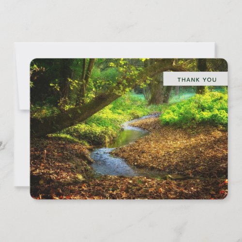 Forest Creek Beautiful Nature Landscape Photo Thank You Card