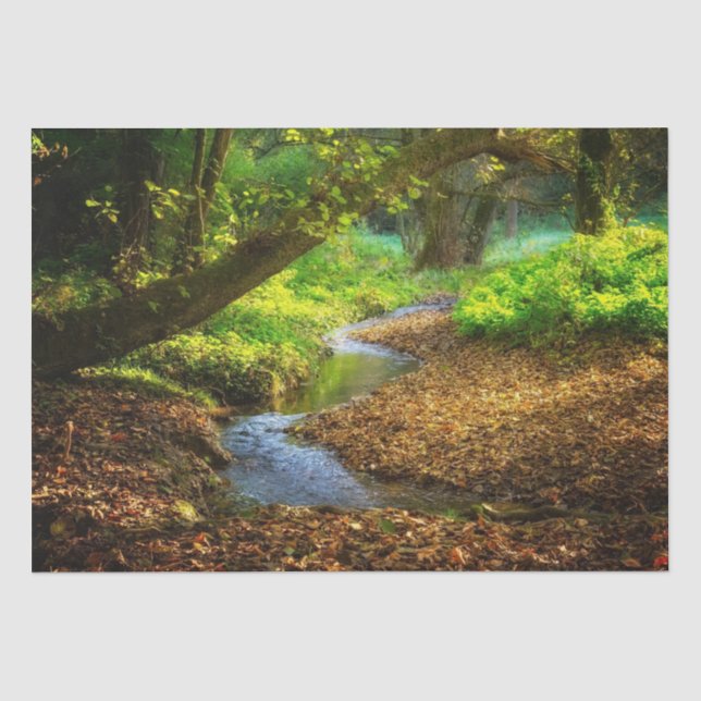 Forest Creek Beautiful Nature Landscape Photo Tissue Paper (Front)