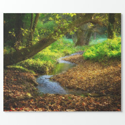 Forest Creek Beautiful Nature Landscape Photo Wrapping Paper