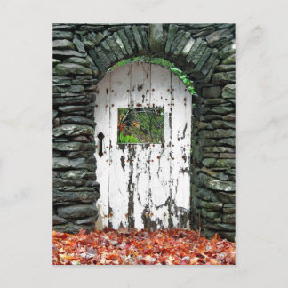 Forest Door Postcard