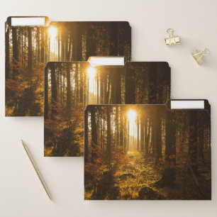 Forest During Autumn Baden Württemberg, Germany File Folder