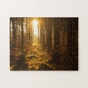 Forest During Autumn Baden Württemberg, Germany Jigsaw Puzzle