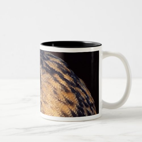 Forest Eagle Owl Bubo bubo Native to Eurasia Two_Tone Coffee Mug