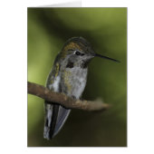 Forest Faerie (Front)