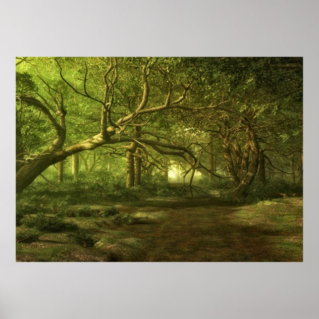 Forest fantasy poster (Front)