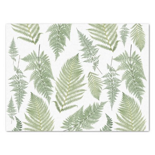 Forest Fern Fronds Vintage Greenery Botanical Tissue Paper