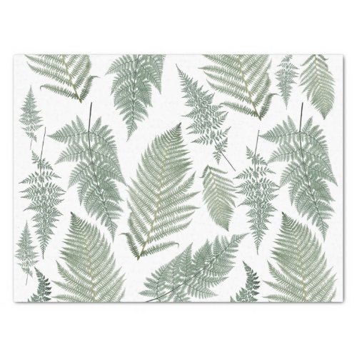 Forest Fern Fronds Vintage Greenery Botanical Tissue Paper