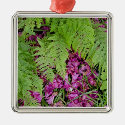 Forest ferns with pink flower petals on ground metal ornament