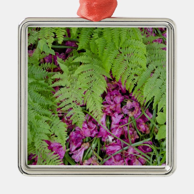 Forest ferns with pink flower petals on ground metal ornament (Front)