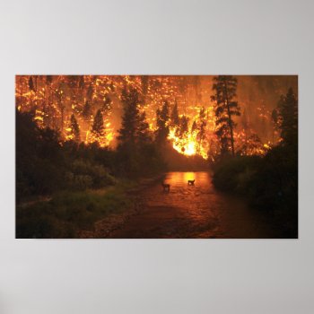 Forest Fire - Deer Poster by Delights at Zazzle