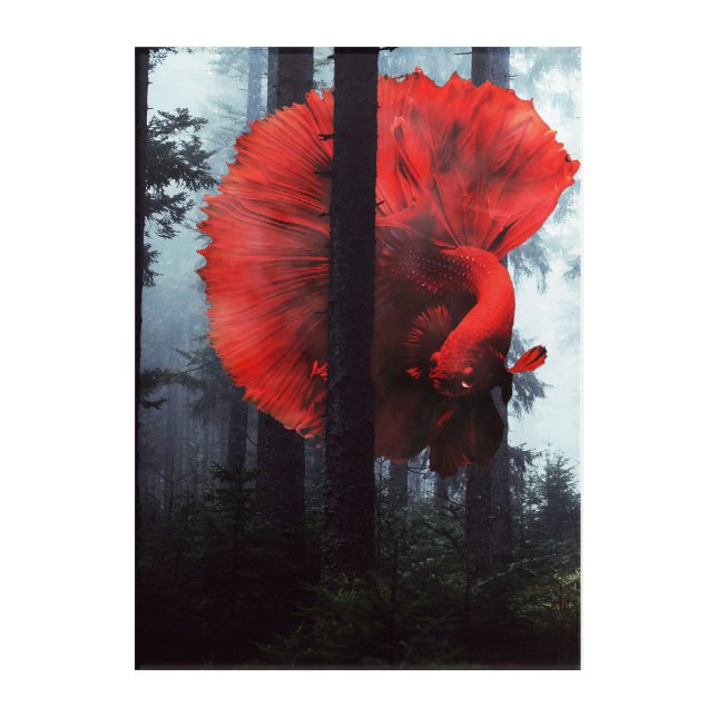 Forest Fish Acrylic Print (Front)
