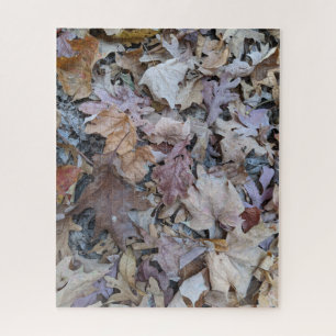 Forest Floor, 16" x 20", 520 pieces Jigsaw Puzzle