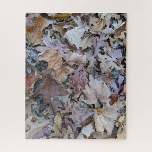 Forest Floor 16 x 20 520 pieces Jigsaw Puzzle