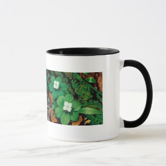 Forest Floor/Baby Rabbit mug