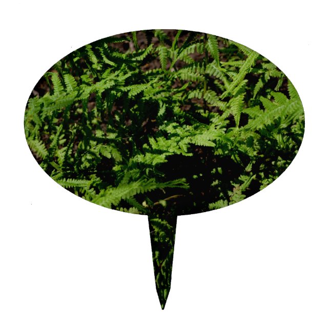 Forest Floor Ferns Cake Topper (Front)