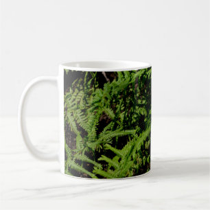 Forest Floor Ferns Coffee Mug